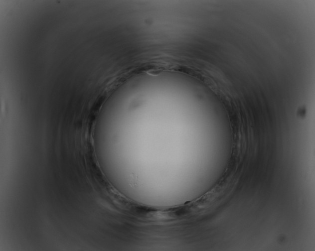 X0000101990320200807180831