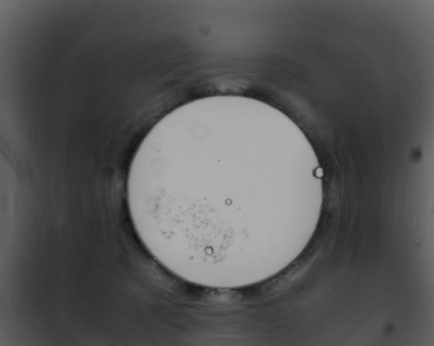 X0000101990321200807180831