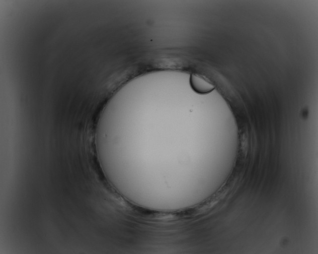 X0000101990322200807180831