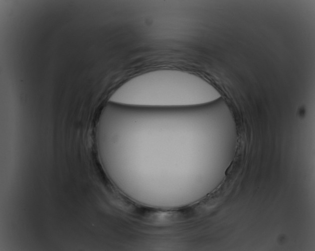 X0000101990323200807180831