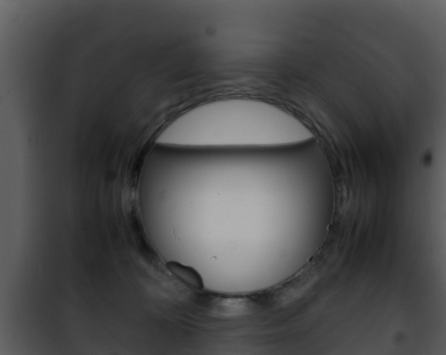 X0000101990324200807180831