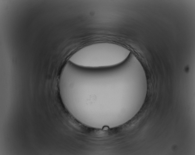 X0000101990325200807180831
