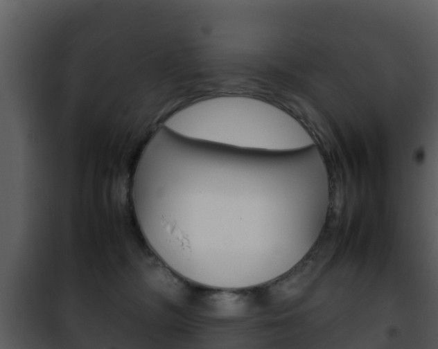 X0000101990326200807180831