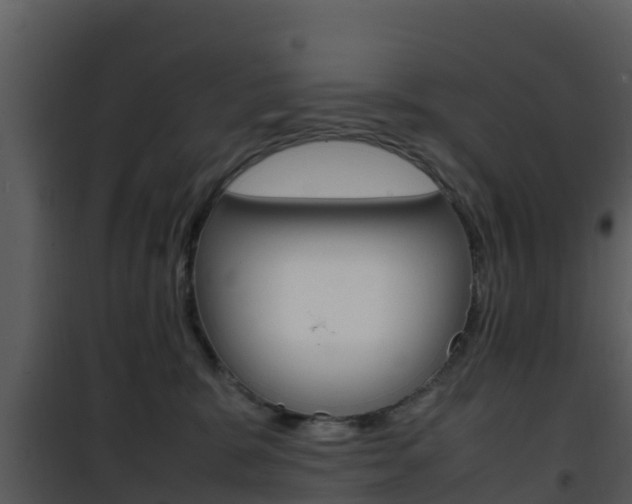 X0000101990327200807180831