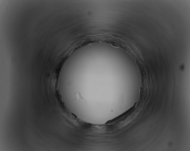X0000101990328200807180831