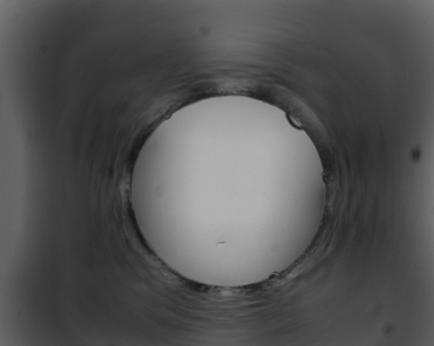 X0000101990329200807180831