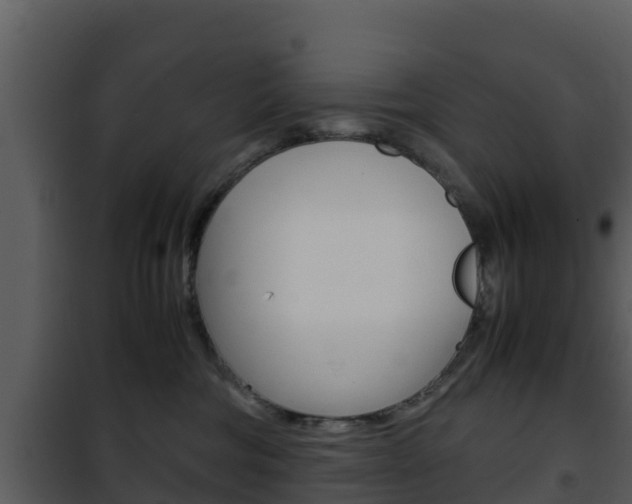X0000101990330200807180831