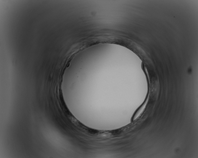 X0000101990333200807180831
