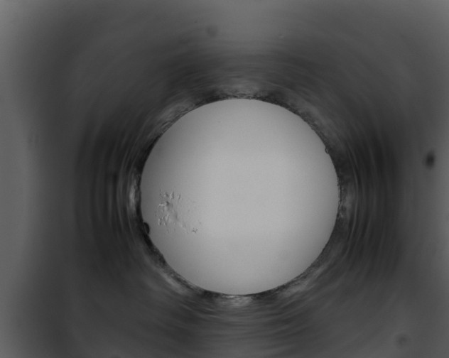 X0000101990334200807180831