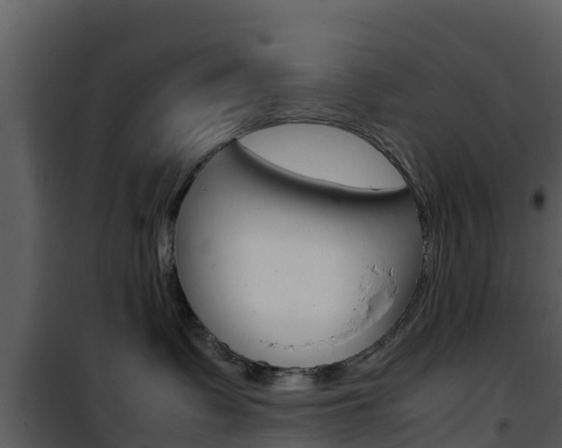X0000101990335200807180830