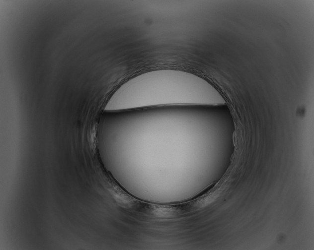 X0000101990336200807180830