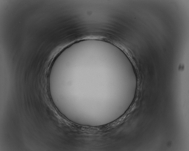 X0000101990337200807180830