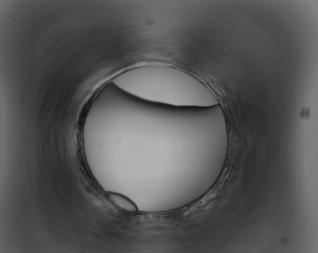 X0000101990338200807180830