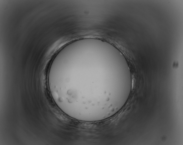 X0000101990339200807180830