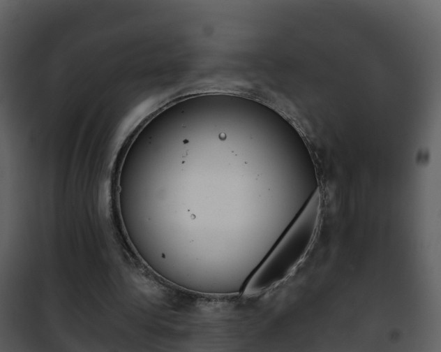 X0000101990340200807180830
