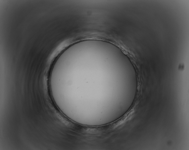 X0000101990341200807180830