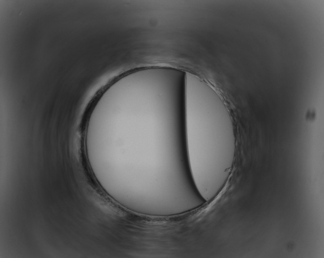 X0000101990342200807180830