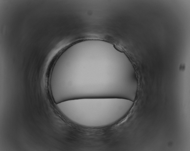 X0000101990343200807180830