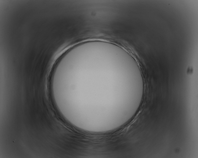 X0000101990344200807180830