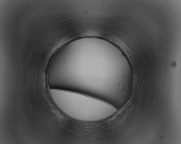 X0000101990345200807180830
