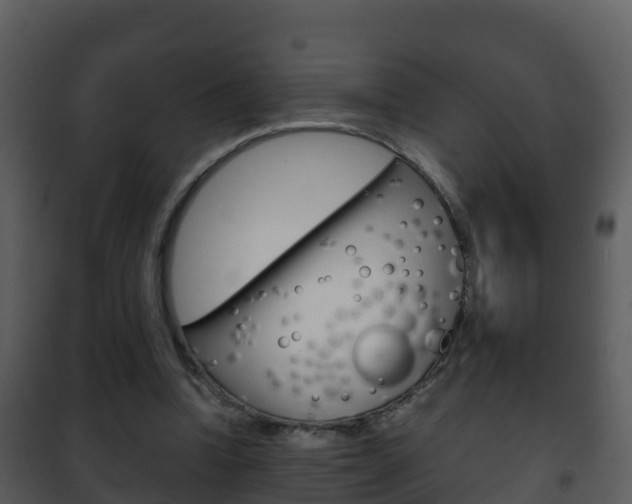 X0000101990346200807180830