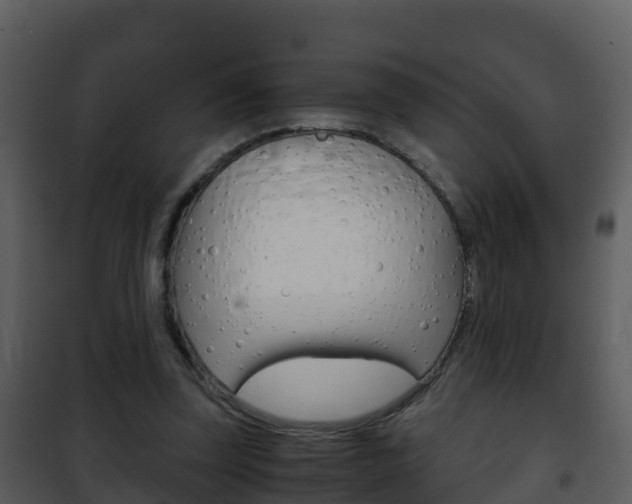 X0000101990347200807180830