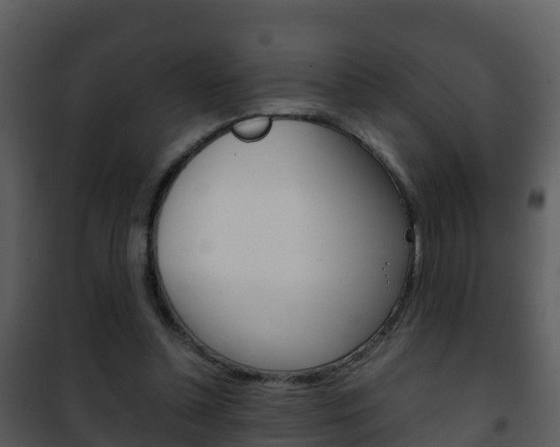 X0000101990348200807180830