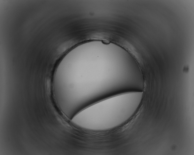 X0000101990349200807180830