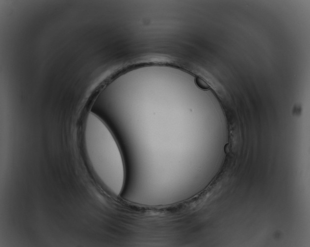 X0000101990350200807180830