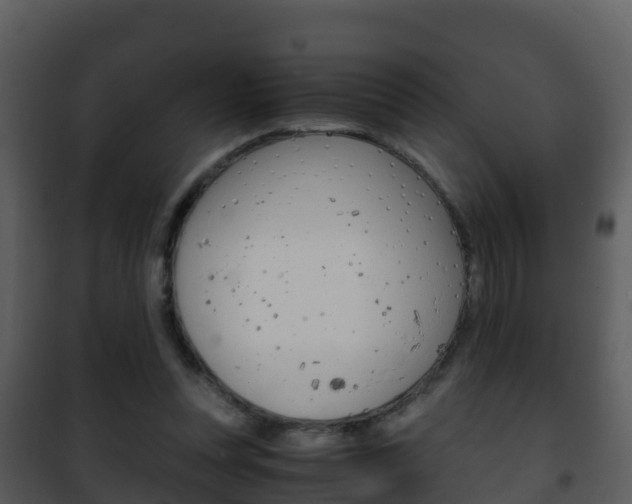 X0000101990351200807180830