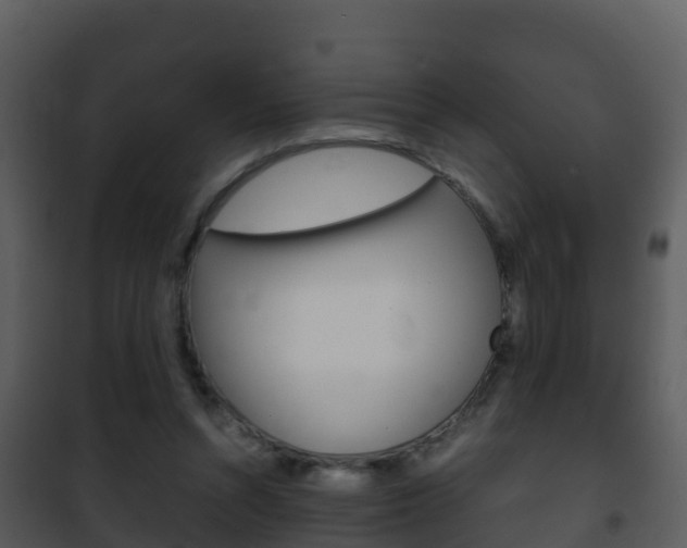 X0000101990352200807180830