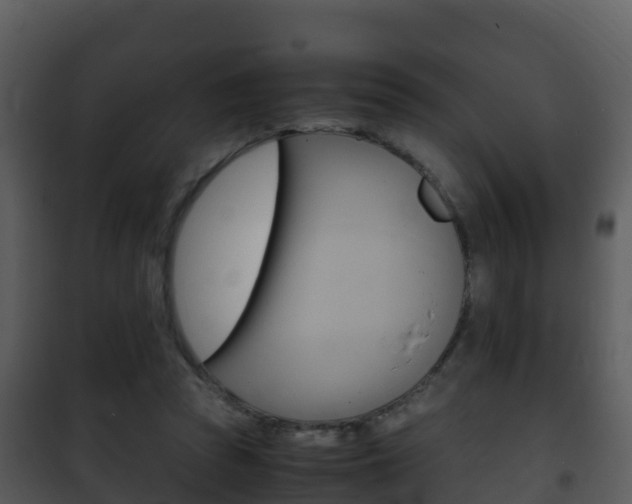 X0000101990353200807180830