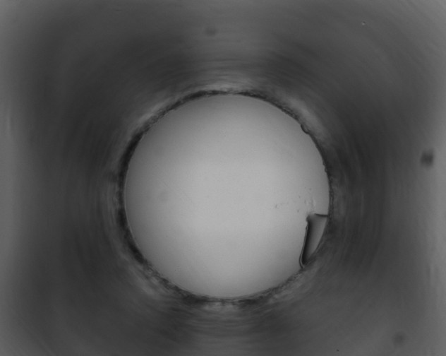 X0000101990354200807180830