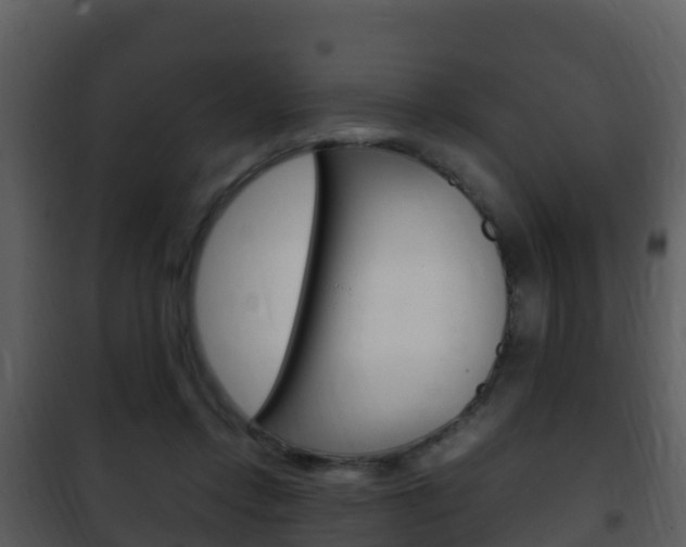 X0000101990358200807180830
