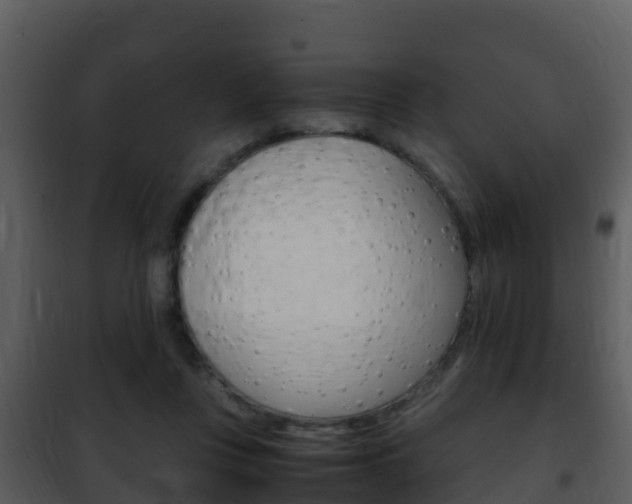 X0000101990359200807180830