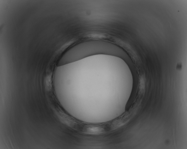 X0000101990360200807180830