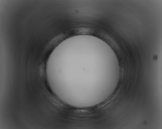 X0000101990361200807180830