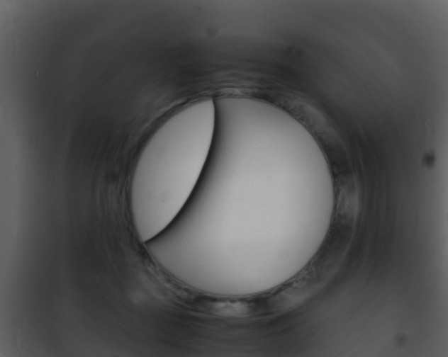 X0000101990363200807180830