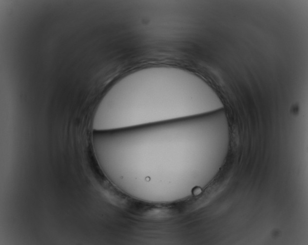 X0000101990364200807180830
