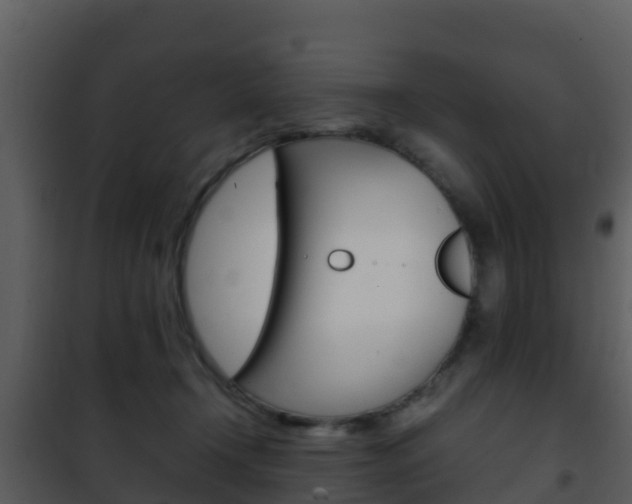 X0000101990366200807180830