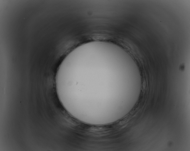 X0000101990367200807180830
