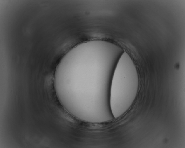 X0000101990369200807180830
