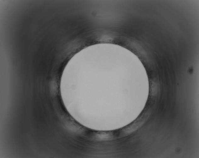 X0000101990370200807180830