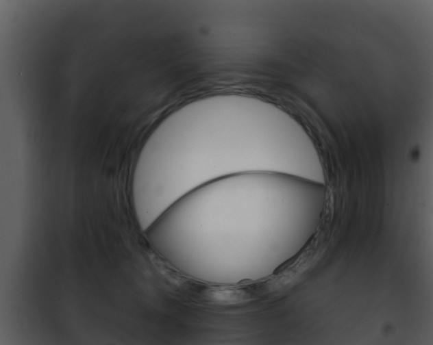 X0000101990372200807180830