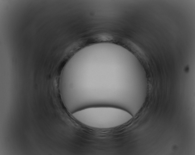 X0000101990373200807180830