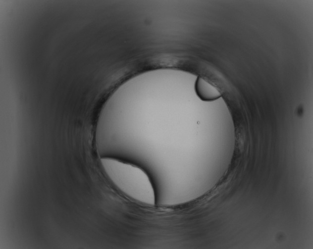 X0000101990374200807180830
