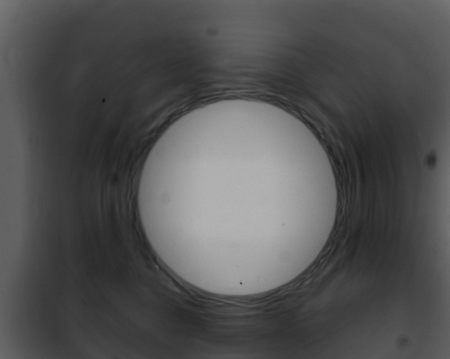 X0000101990376200807180830