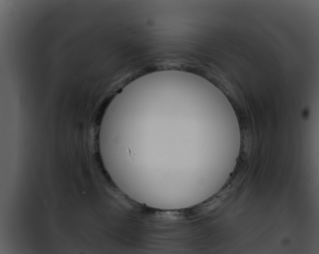 X0000101990378200807180830