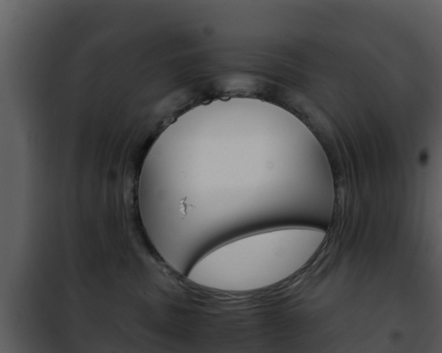 X0000101990379200807180830