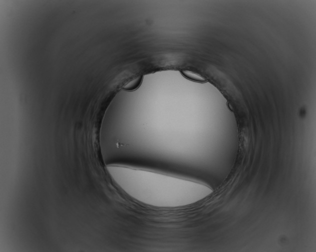 X0000101990380200807180830